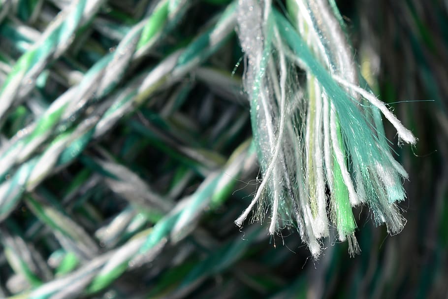 cord, pack cord, end, strapping, tie, secure, rolled up, plant HD wallpaper