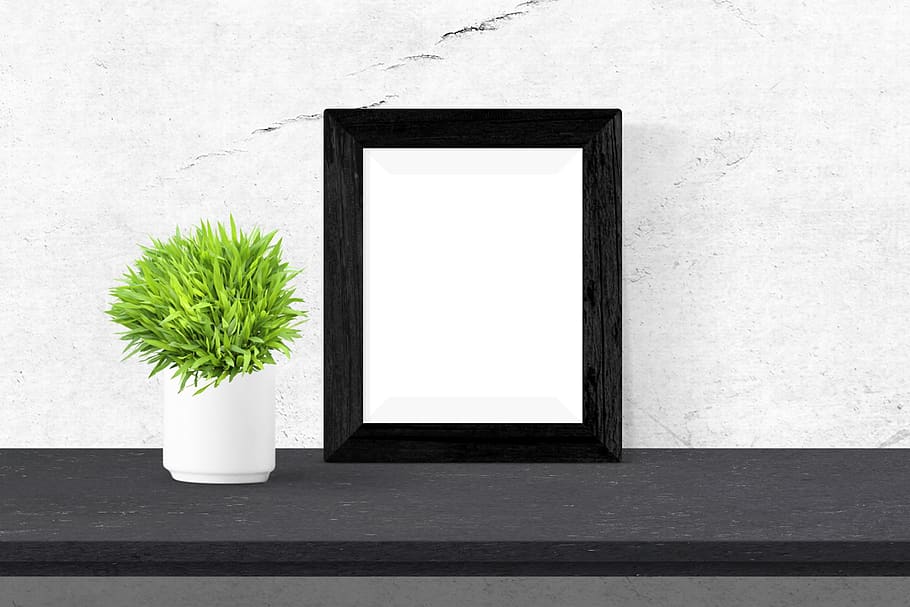 poster, frame, desk, plant, wall - building feature, no people HD wallpaper