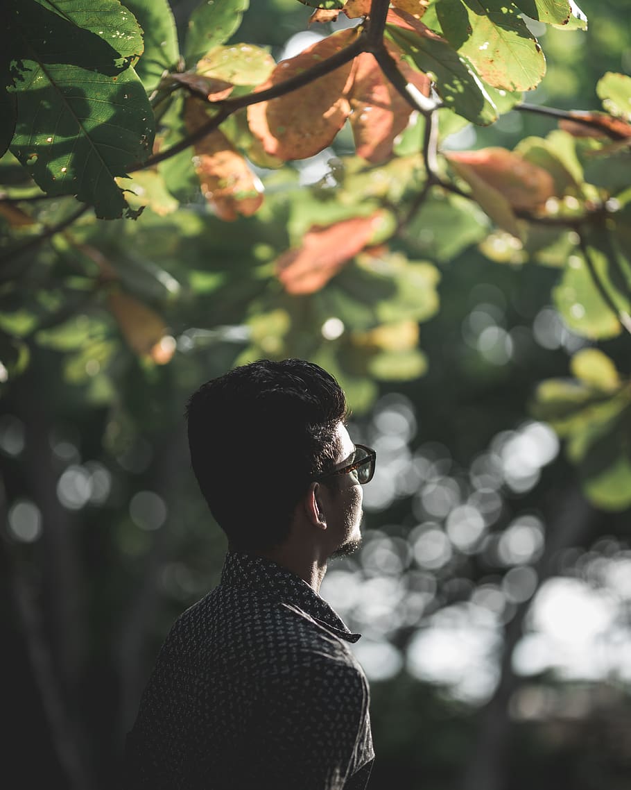 person, human, tree, plant, clothing, apparel, leaf, vegetation HD wallpaper
