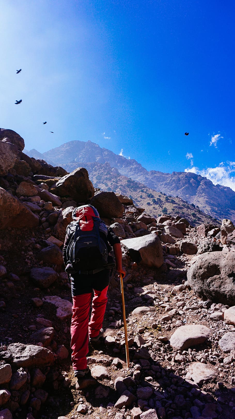 guide, mountain, hike, rear view, leisure activity, adventure HD wallpaper