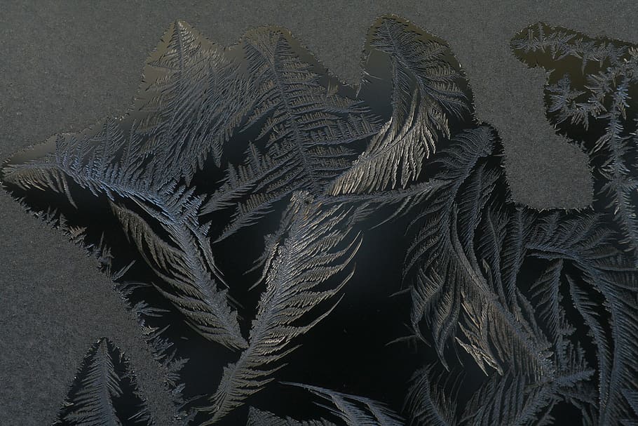 frost, macro, ice crystals, nature, desktop background, no people HD wallpaper