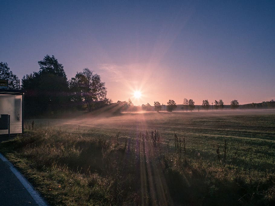 finland, turku, ruissalo, morning, sunrise, foggy, sun rays, HD wallpaper