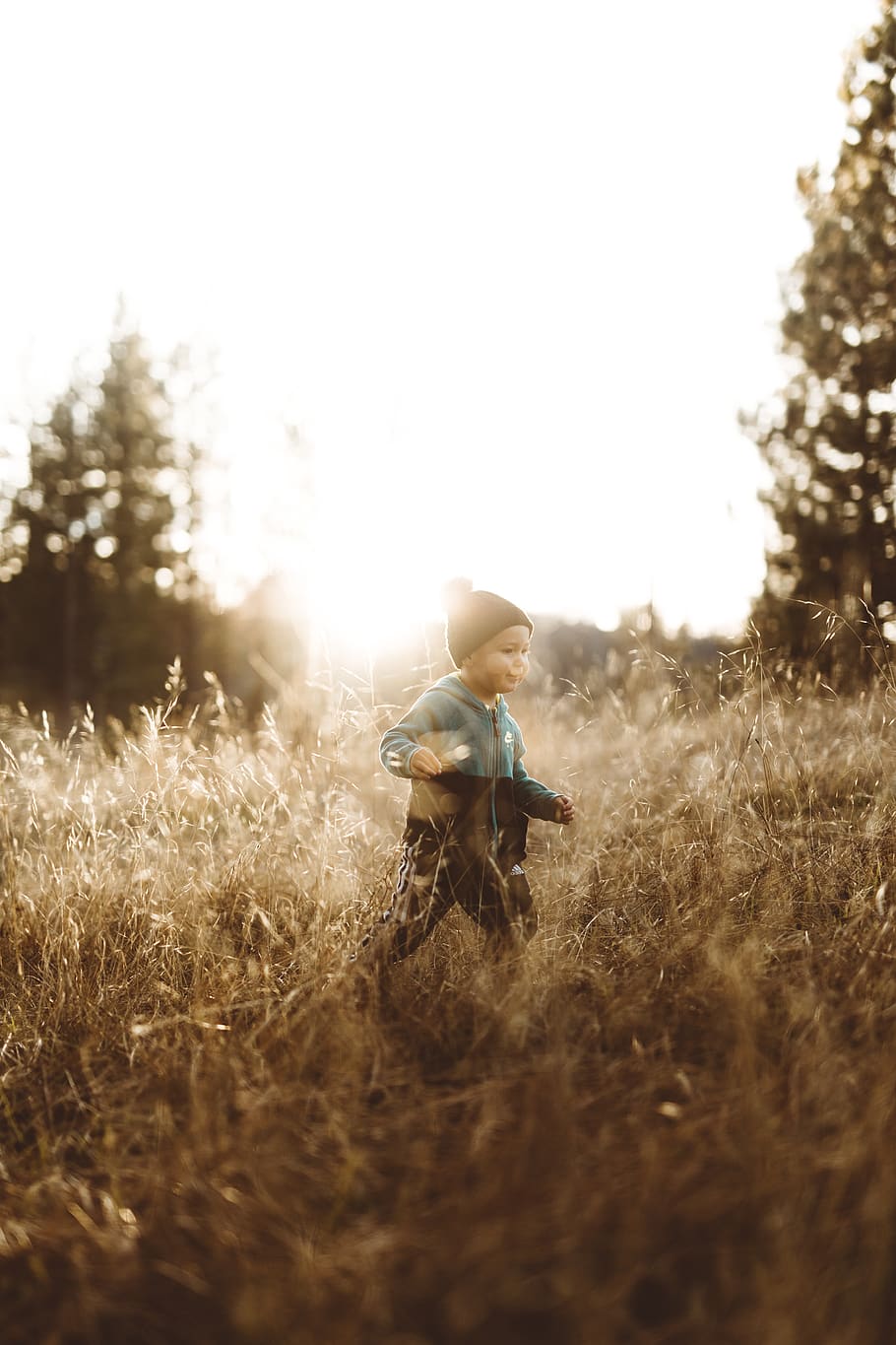 boy standing on brown grasses, plant, land, field, real people HD wallpaper