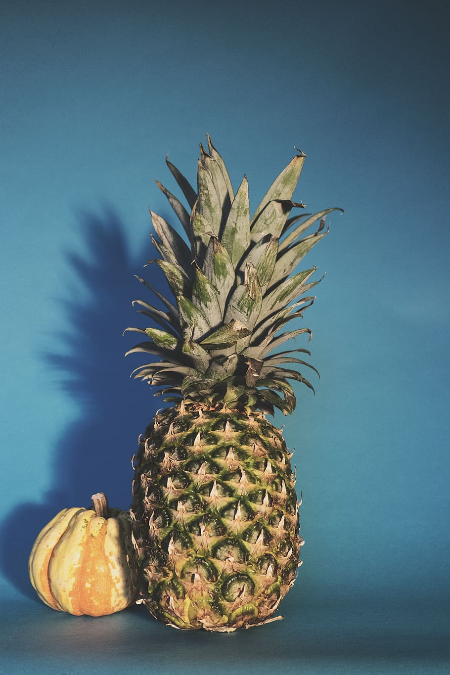 pineapple, squash, gourd, dumpling, still life, fruit, food HD wallpaper
