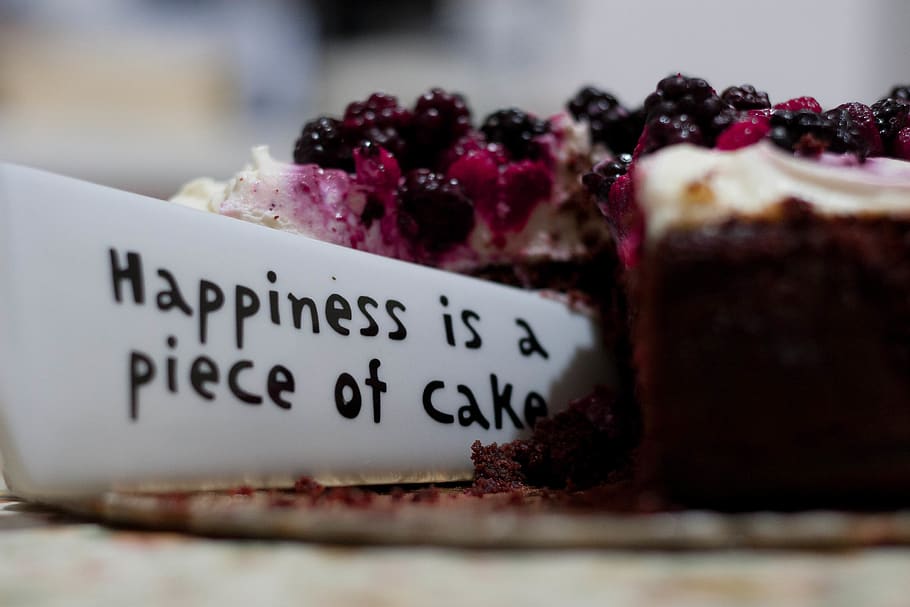 Happiness Is a Piece of Cake Close Up Photography, baking, blueberries HD wallpaper