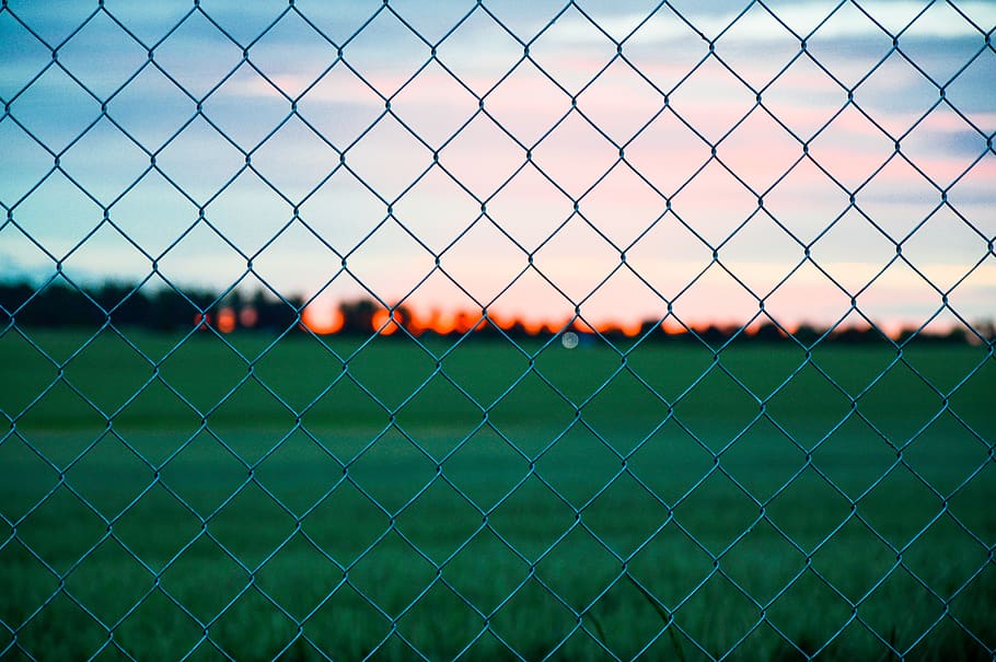 Gray Metal Wire Fence Near Green Grass during Golden Hour Photography HD wallpaper