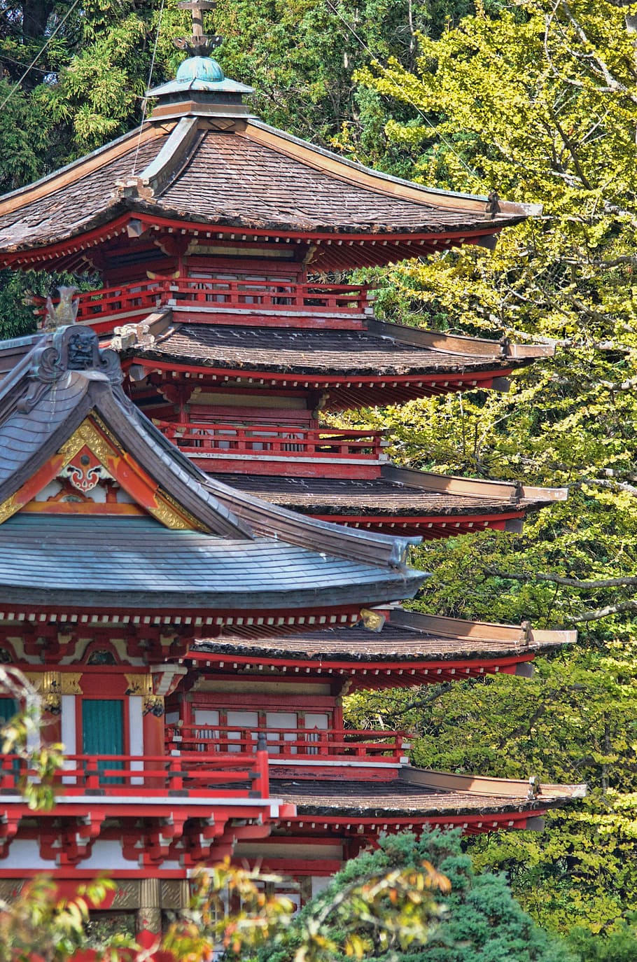 Red and Blue Temple Behind Green Leaf Trees at Daytime, ancient HD wallpaper