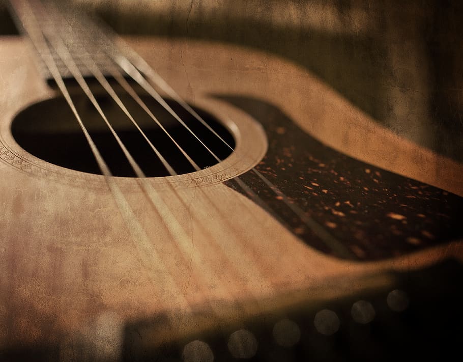 musical instrument, string instrument, musical equipment, arts culture and entertainment, HD wallpaper