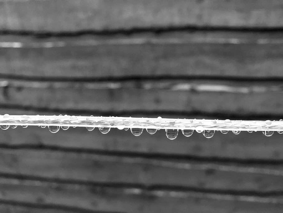 water, rain, rain drop, raindrop, wood, fence, black and white HD wallpaper