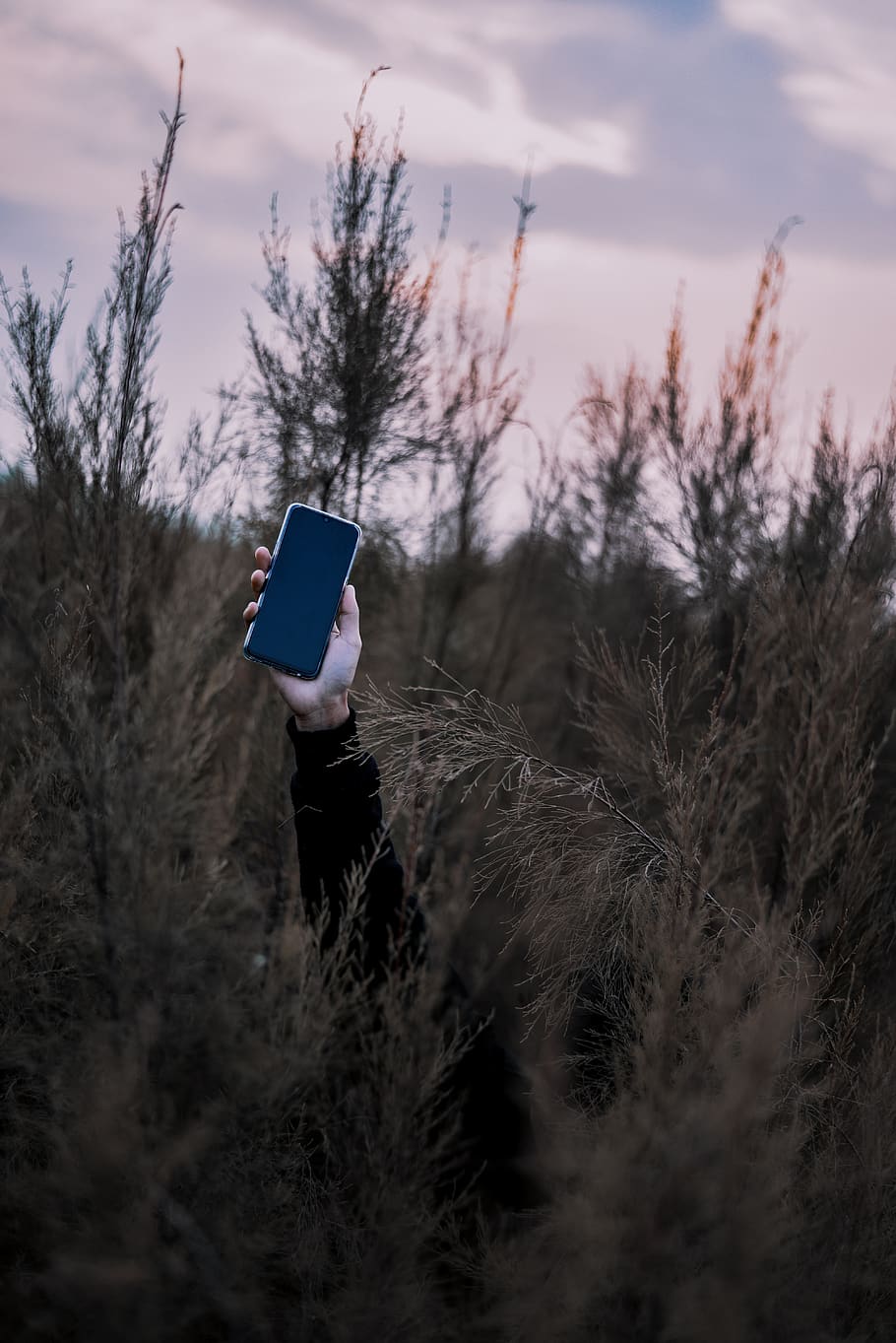 cell phone, mobile phone, electronics, tree, grass, vegetation HD wallpaper