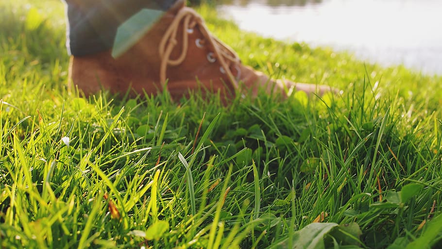 shoes, grass, ground, plant, green color, one person, growth HD wallpaper
