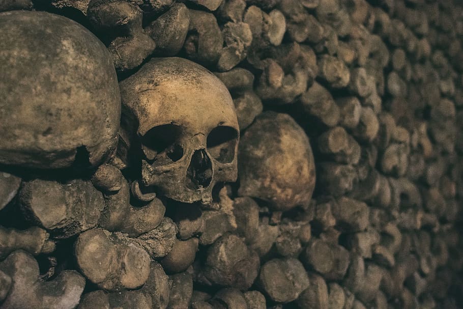 pile of human skulls and bones, paris, france, rock, food, nature