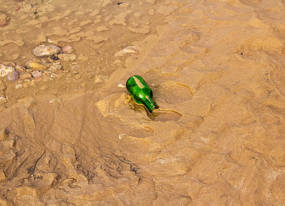 morocco, taghazout, green color, animal themes, land, high angle view HD wallpaper