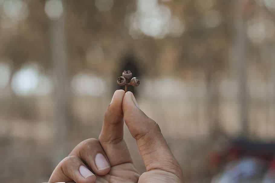 pakistan, human hand, human body part, one person, finger, focus on foreground HD wallpaper