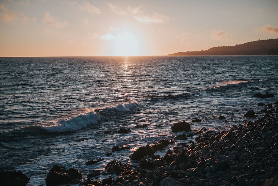 trees, ocean, sun, sunset, night, water, rocks, waves, photos HD wallpaper