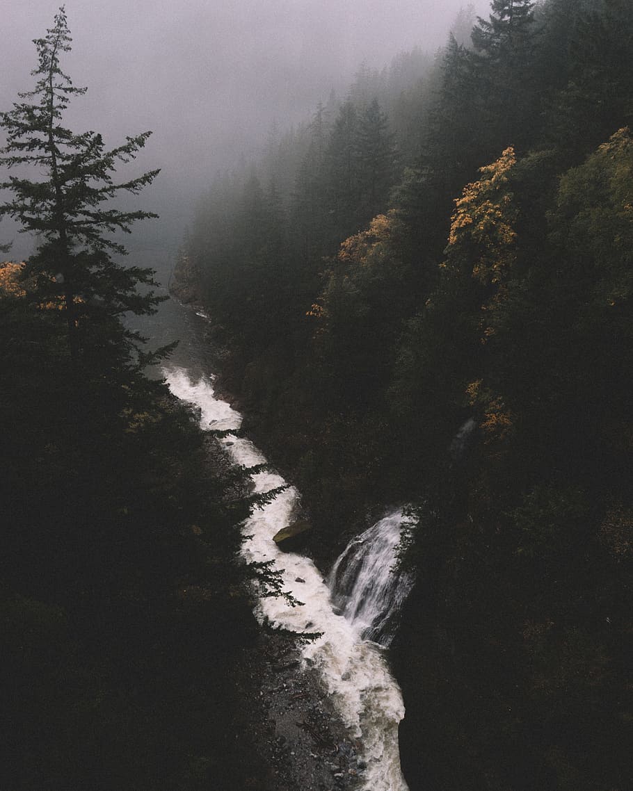 river, water, nature, tree, plant, forest, mountain, hill, landscape HD wallpaper