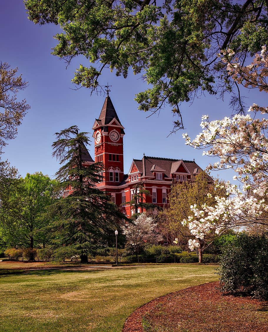 Brown Building Surrounded by Trees, alabama, architecture, samford hall, HD wallpaper