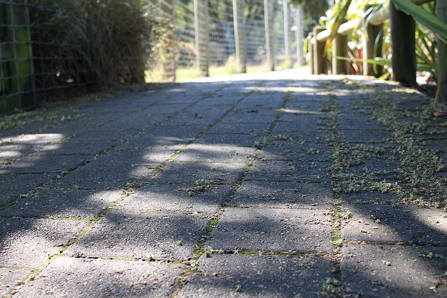 path, leaves, park, shadows, sunlight, pavement, tiles, day HD wallpaper