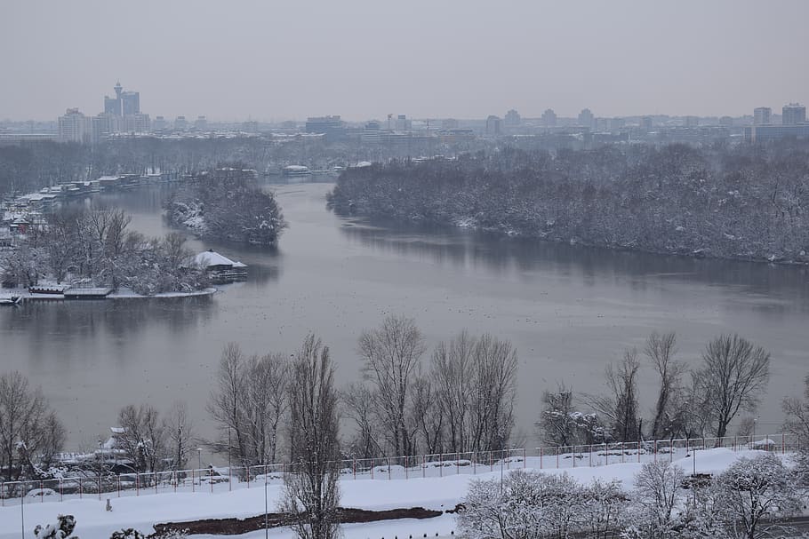 winter, cold temperature, snow, tree, water, nature, plant HD wallpaper