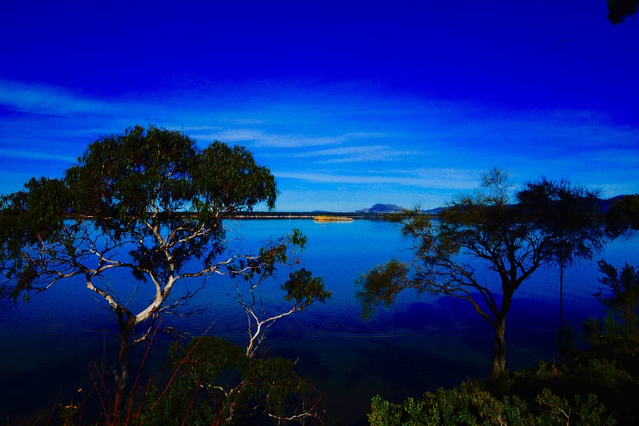 water, sky, tree, scenics - nature, blue, plant, tranquility HD wallpaper