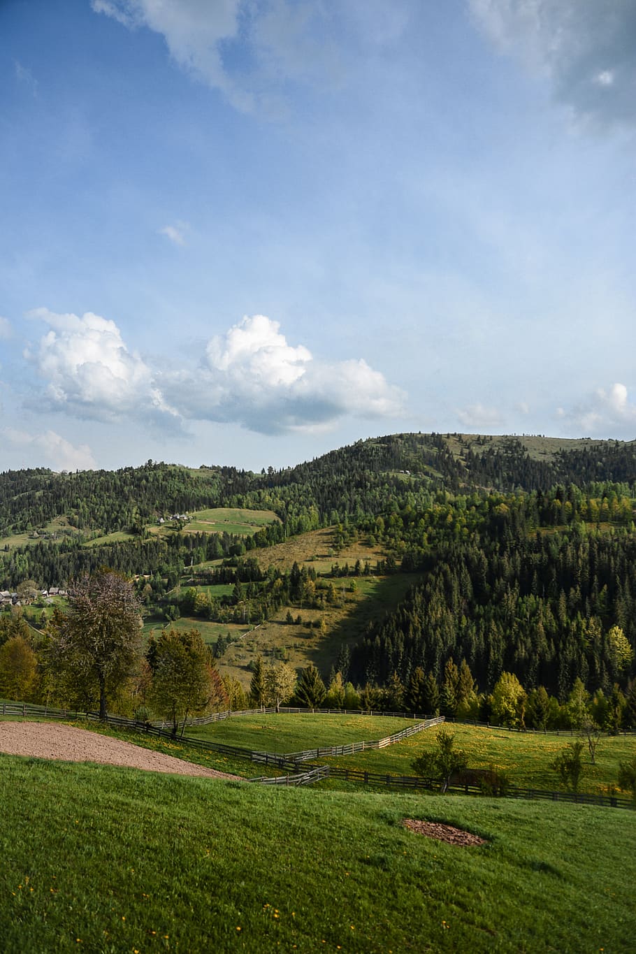 trees, green, forest, tradition, romania, landscape, environment HD wallpaper