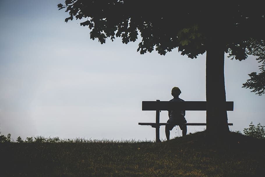 Person Sitting on Bench Under Tree, backlit, lonely, solitude HD wallpaper