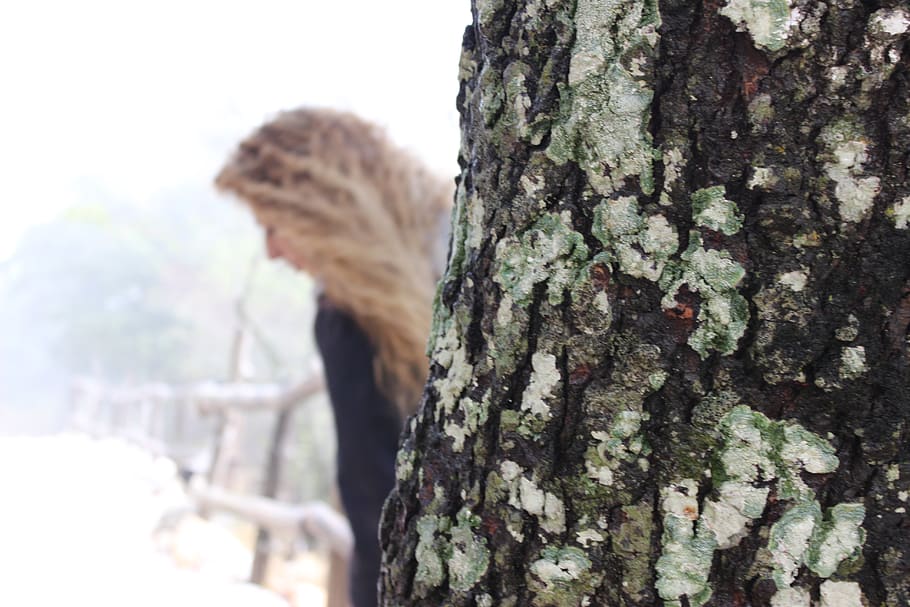 greece, parnitha, tree, forest, girl, tree trunk, plant, nature HD wallpaper