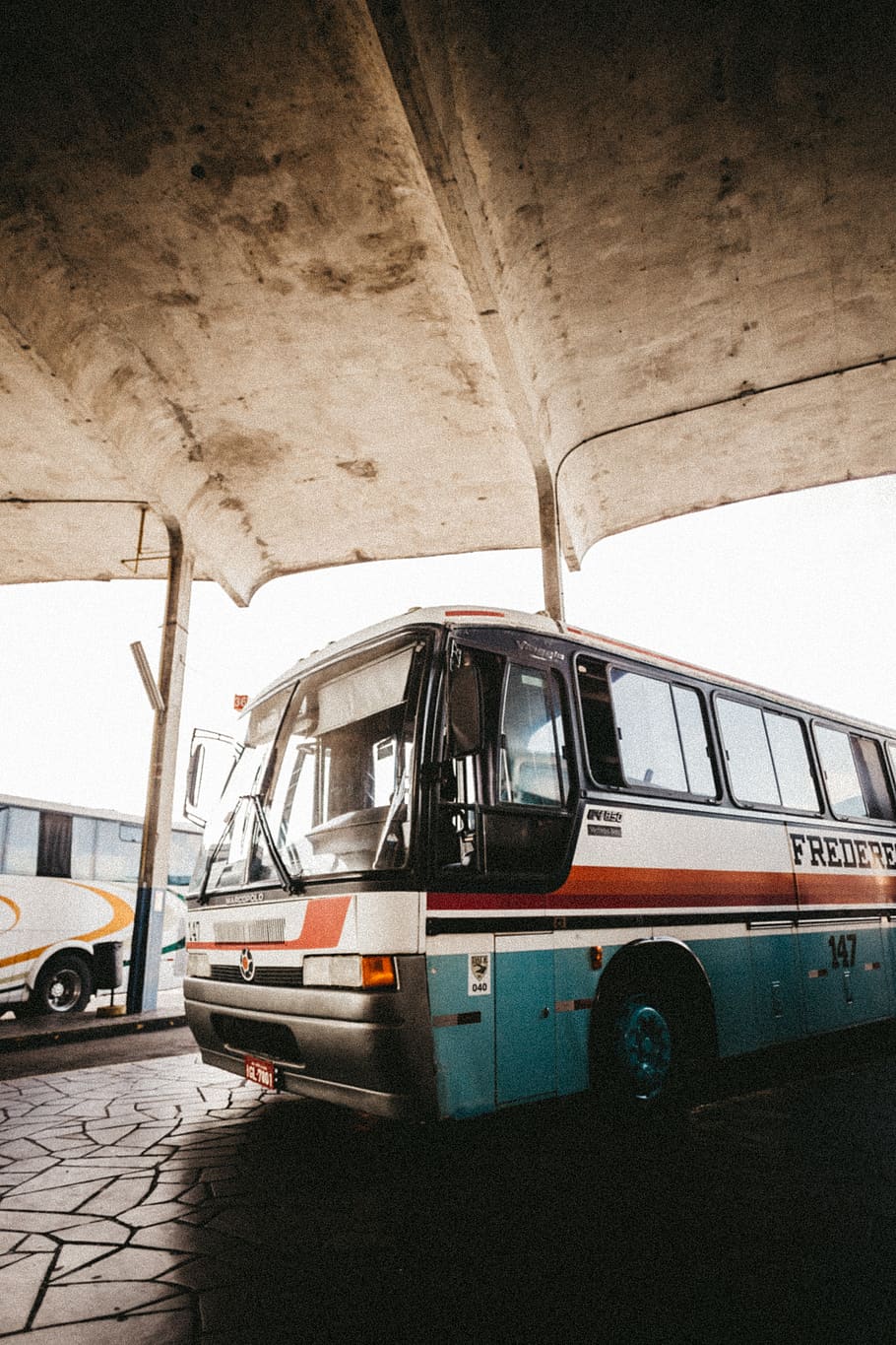 white and red bus, mode of transportation, land vehicle, motor vehicle HD wallpaper