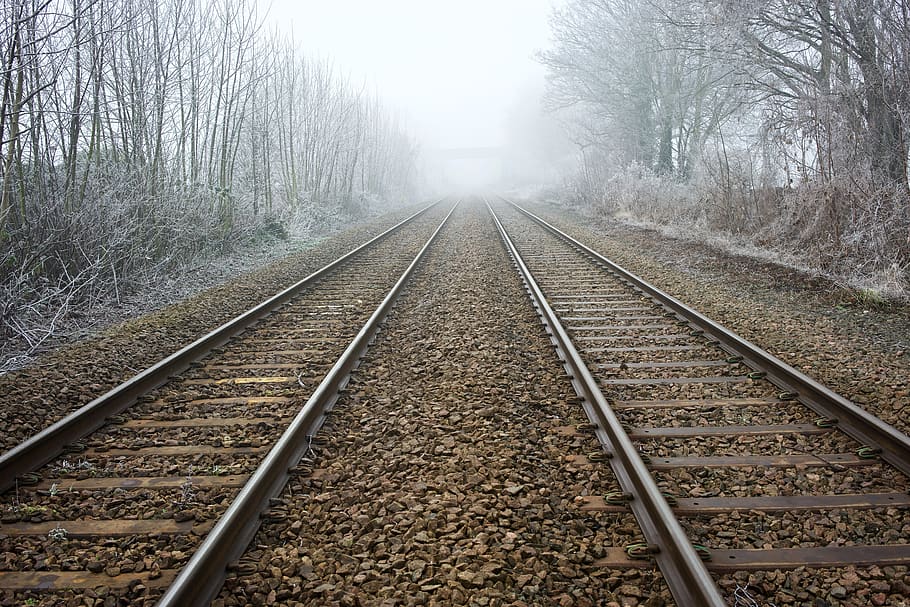 empty rail between forest, track, rail transportation, railroad track HD wallpaper