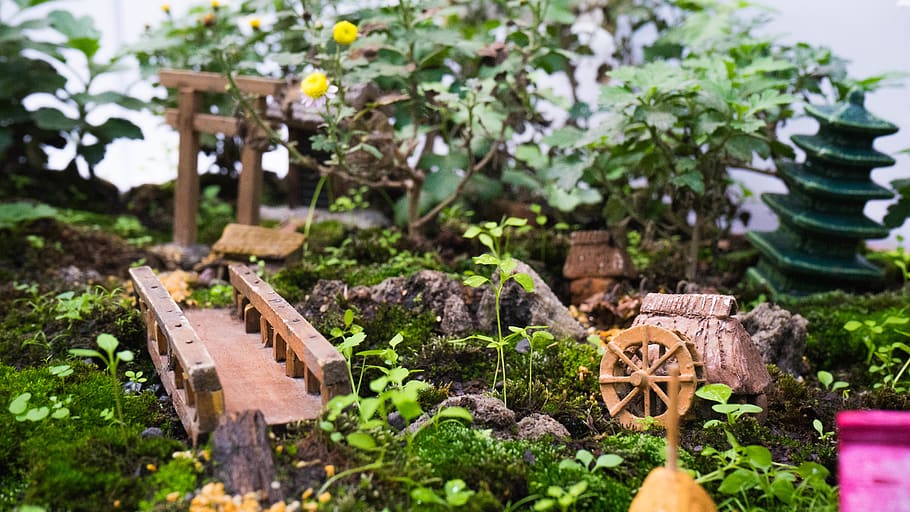 plant, growth, nature, day, no people, wood - material, potted plant HD wallpaper