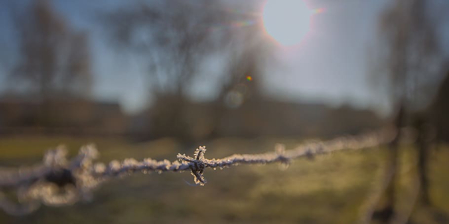 belgium, sart-risbart, flare, nature, barbed wire, trees, frost HD wallpaper