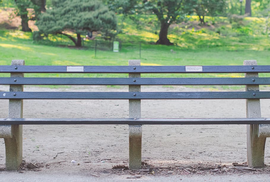 bench, park, grass, summer, green, forest, central park, trees HD wallpaper