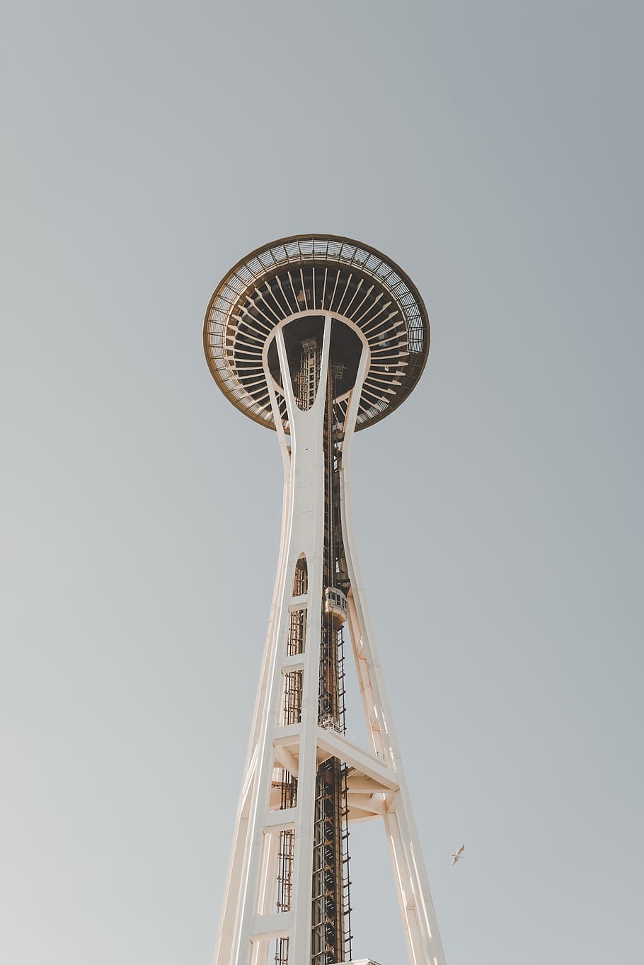 white Space Needle tower, building, sky, outdoors, architecture HD wallpaper