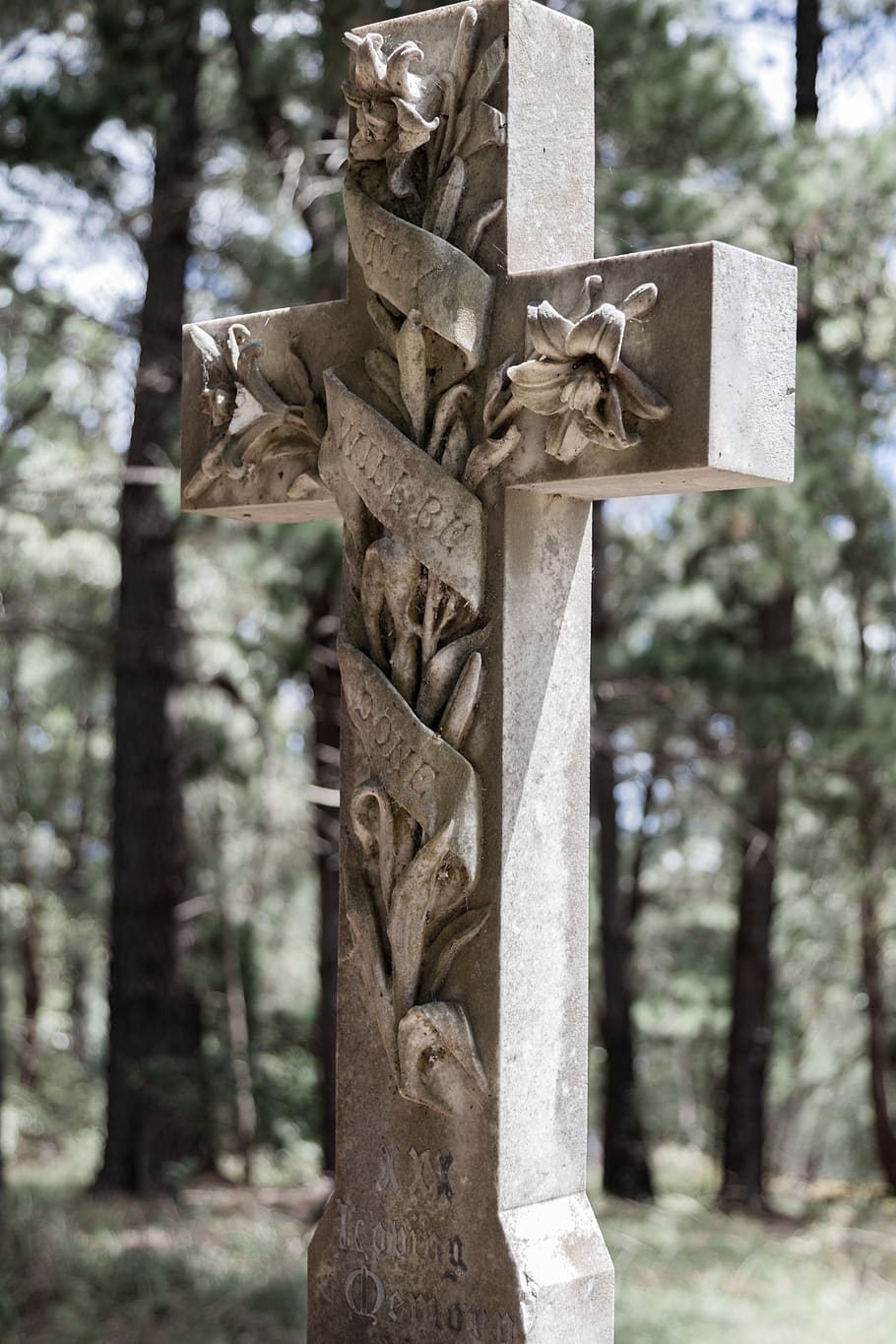 brown crucifix, tree, religion, cross, spirituality, belief, focus on foreground HD wallpaper
