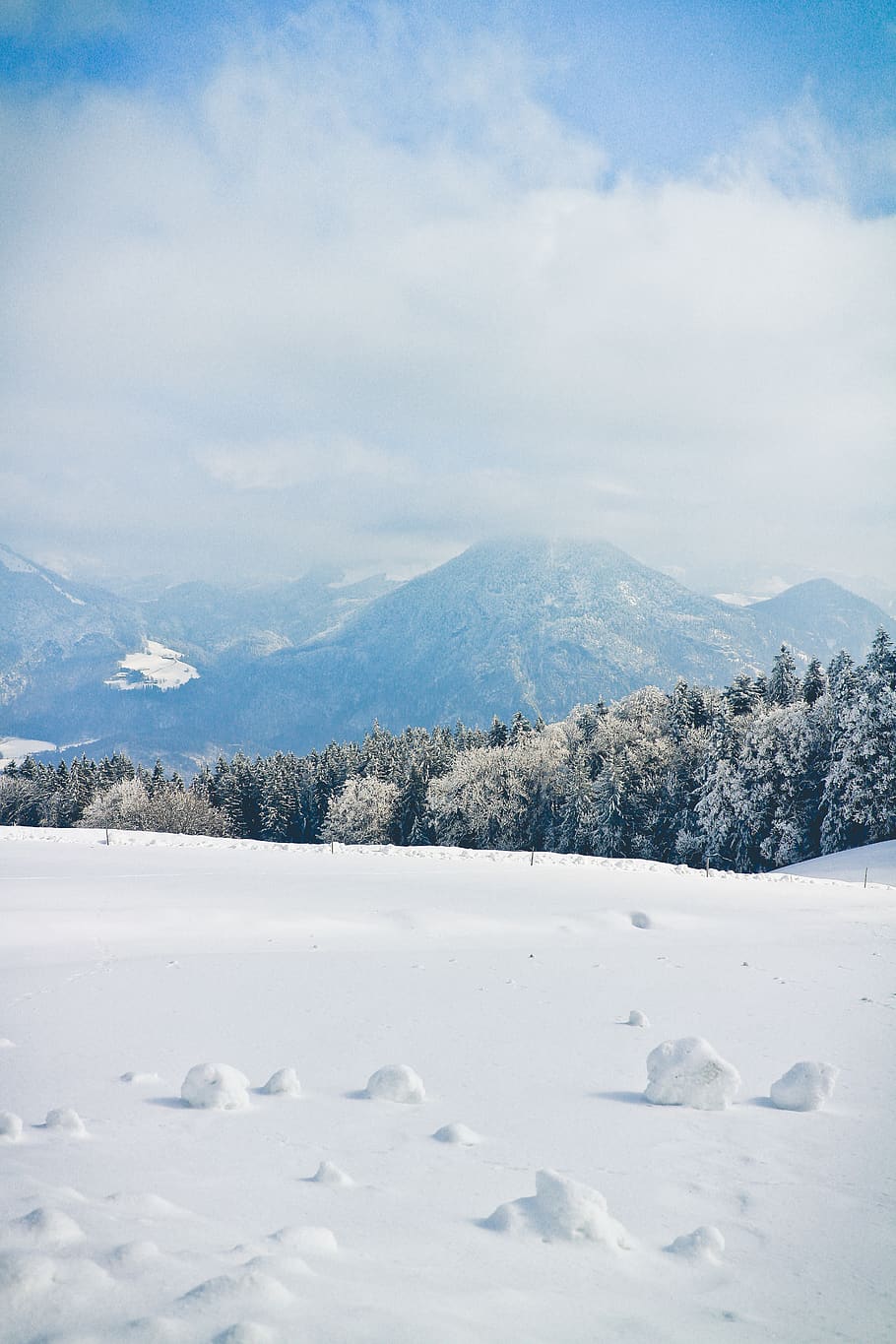mountains, alps, alpine, tree, forest, snow, ice, cold, view HD wallpaper