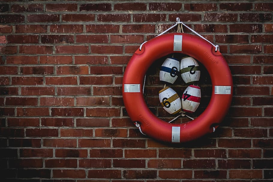 sea life, wall, wall - building feature, brick wall, shape HD wallpaper