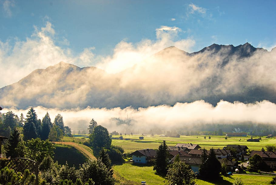 Photography of Green Leaf Trees in Front of Mountain, clouds HD wallpaper
