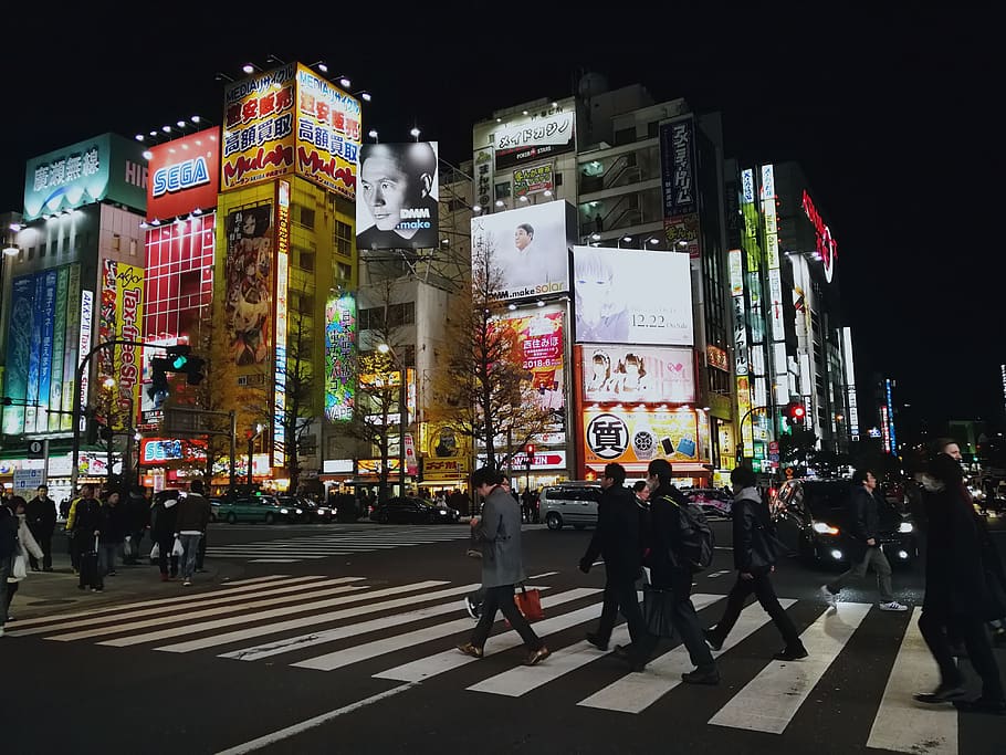japan, tokyo, street, people, akihabara, night, lights, crossing