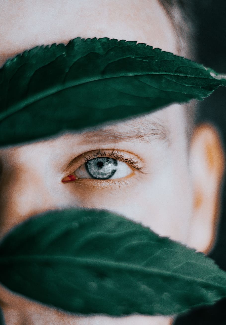 green leaves, face, eye, leaf, caucasian, view, close up, artist HD wallpaper