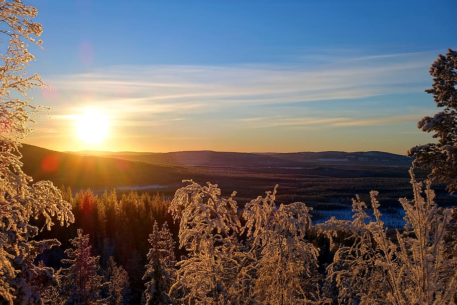 sunset, winter, lapland, snow, sky, trees, mountains, scenic HD wallpaper