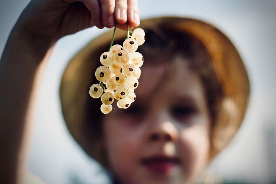 fruit, berry, berries, child, white, one person, hand, human hand HD wallpaper