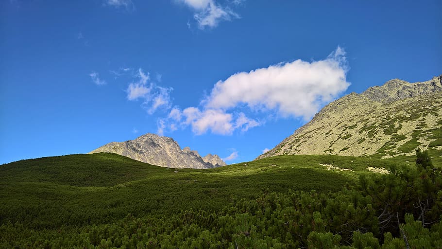 slovensko, vysoké tatry, clouds, bush, mountains, high tatras, HD wallpaper