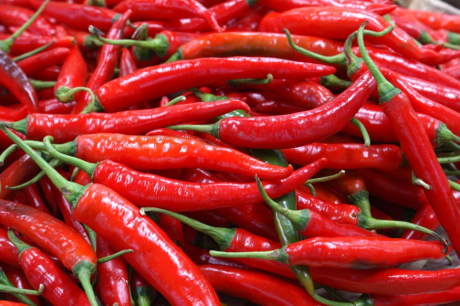 HD wallpaper bunch of red and green chili Chilli Pepper Spicy Hot  Spice  Wallpaper Flare