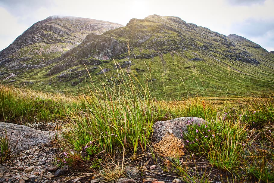united kingdom, glencoe, mountain, valley, sun, grass, heather, HD wallpaper