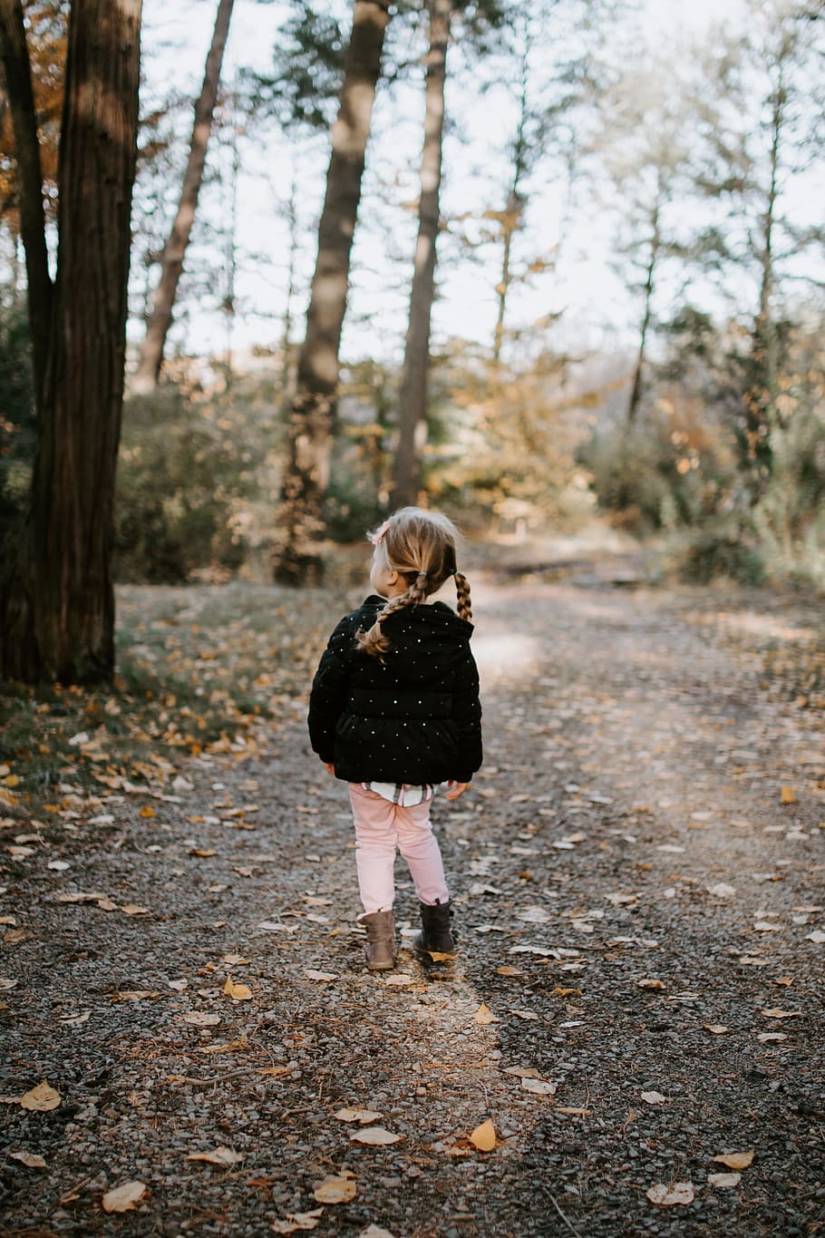girl in black jacket walking in the forest, tree, leafe, explore HD wallpaper