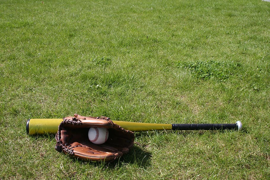 baseball, glove, bat, grass, plant, field, land, green color HD wallpaper