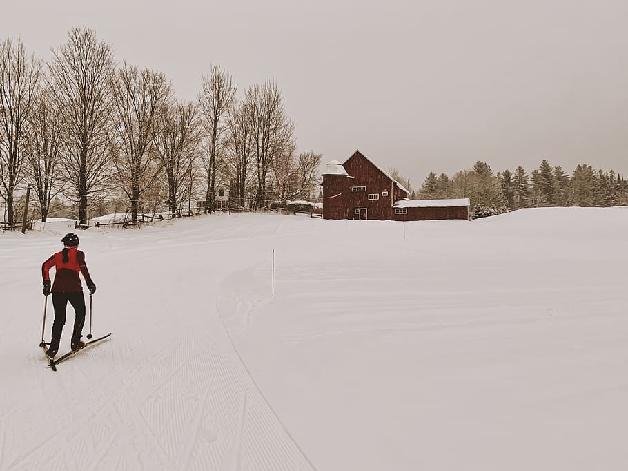man riding on ski blades, human, person, nature, outdoors, usa, HD wallpaper