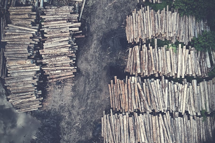 Aerial Photography of Brown Log Lot, daylight, environment, firewoods HD wallpaper