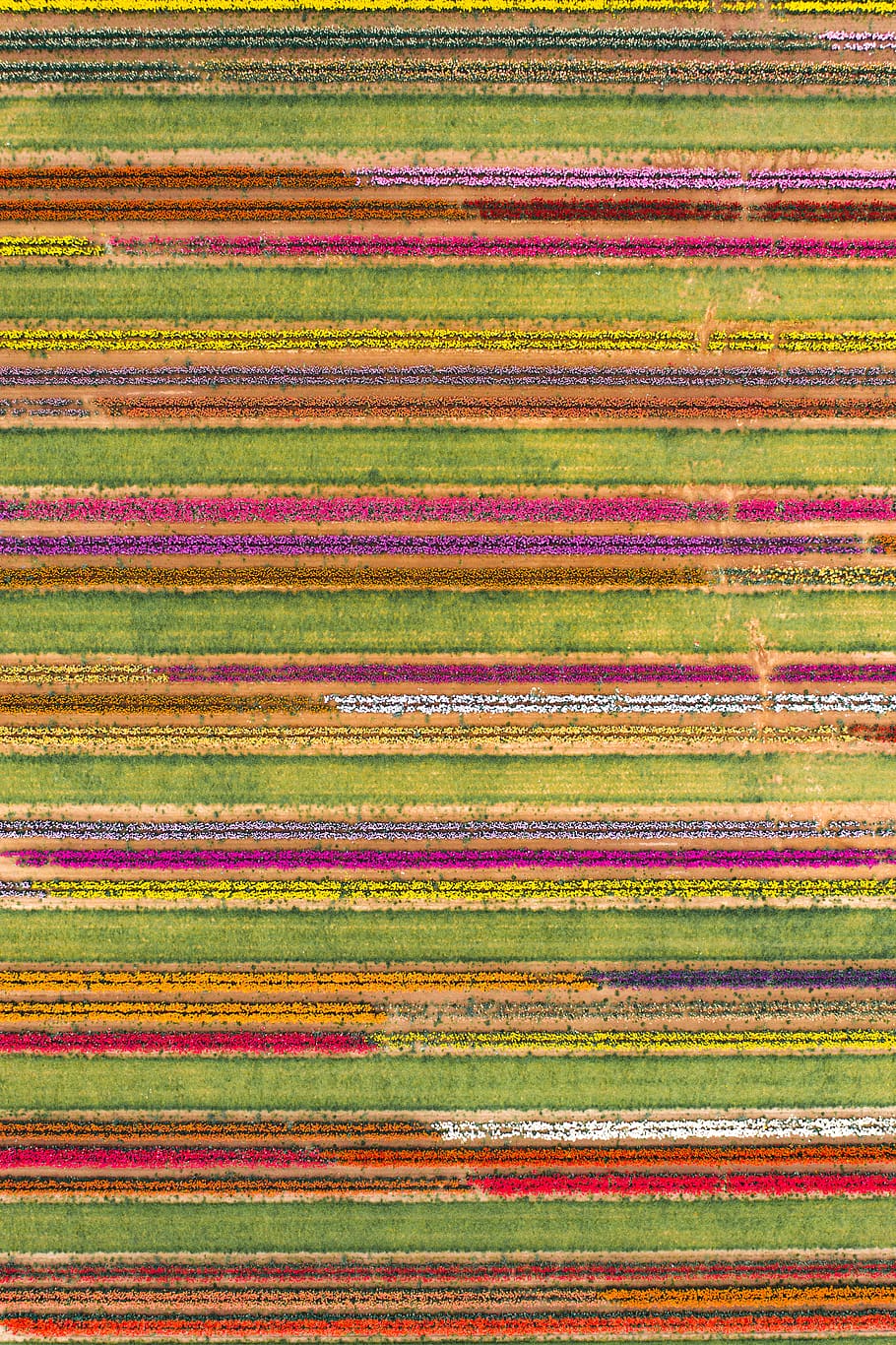 multicolored wallpaper, backgrounds, full frame, pattern, multi colored HD wallpaper
