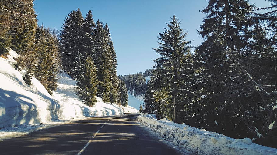 grey road between trees, france, snow, arâches-la-frasse, flaine HD wallpaper